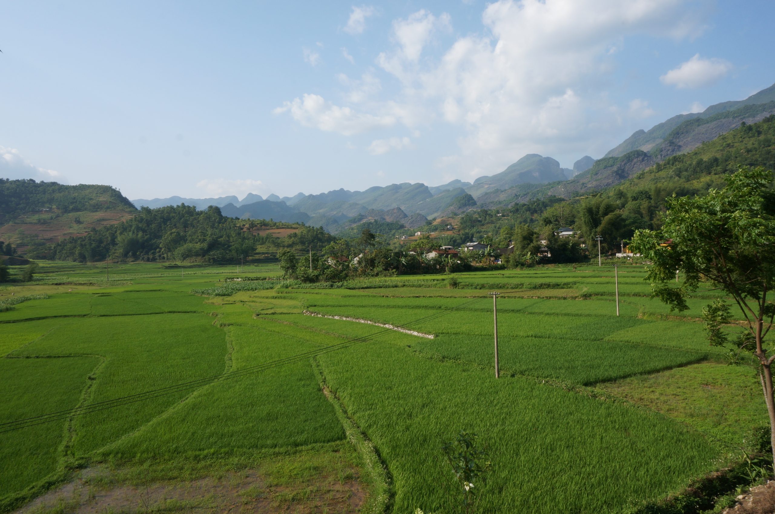 Mountain Biking Pu Luong: Conquer Vietnam’s Untamed Trails with Golden Cycling Tours